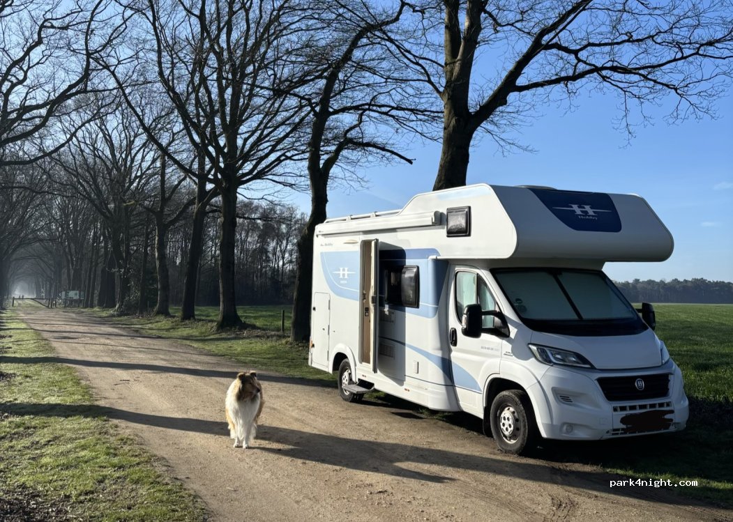 (2328) Hoogstraten - — foto 5