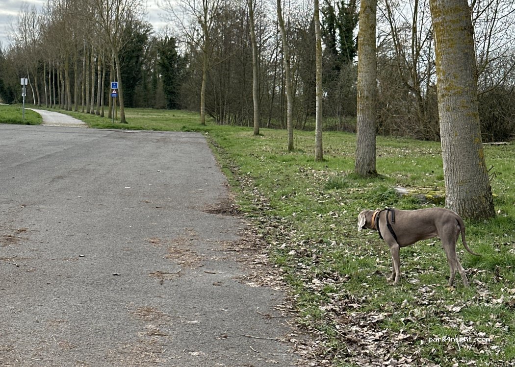 (7641) Antoing - Rue des Ateliers — foto 3