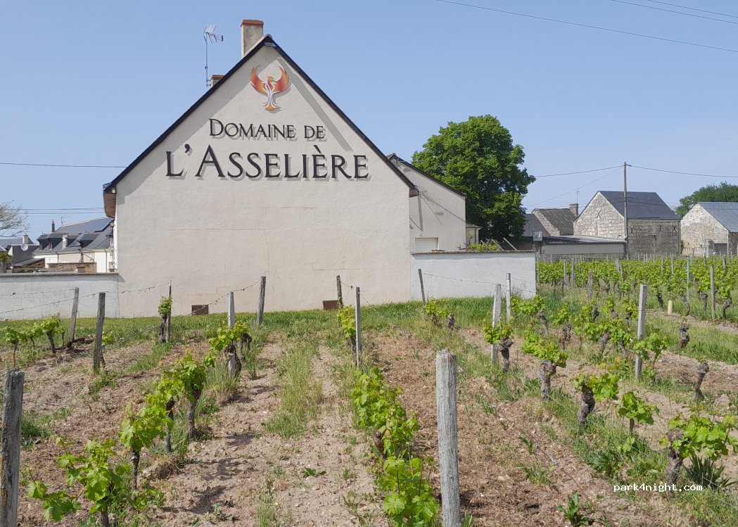 Domaine de l'Asselière — foto 3