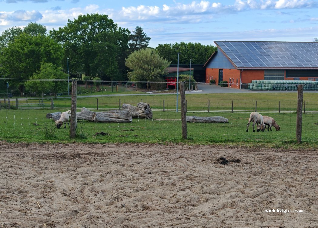 Stellplatz immer frei — foto 4