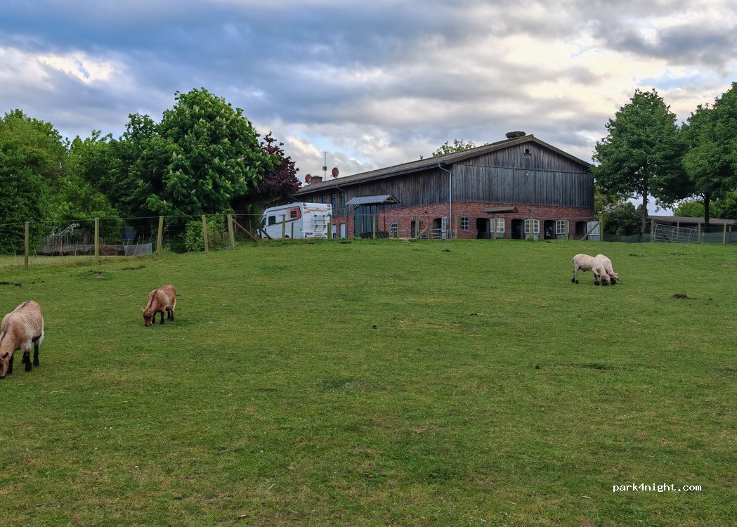 Stellplatz immer frei — foto 5