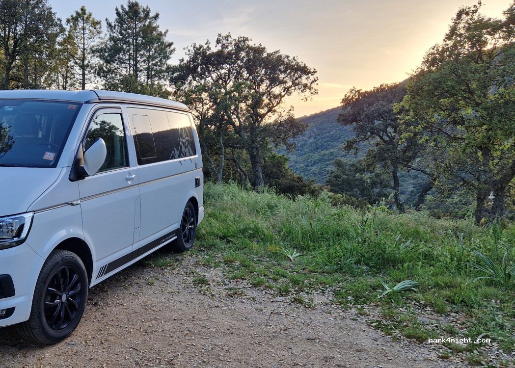 (83230) Bormes-les-Mimosas - — foto