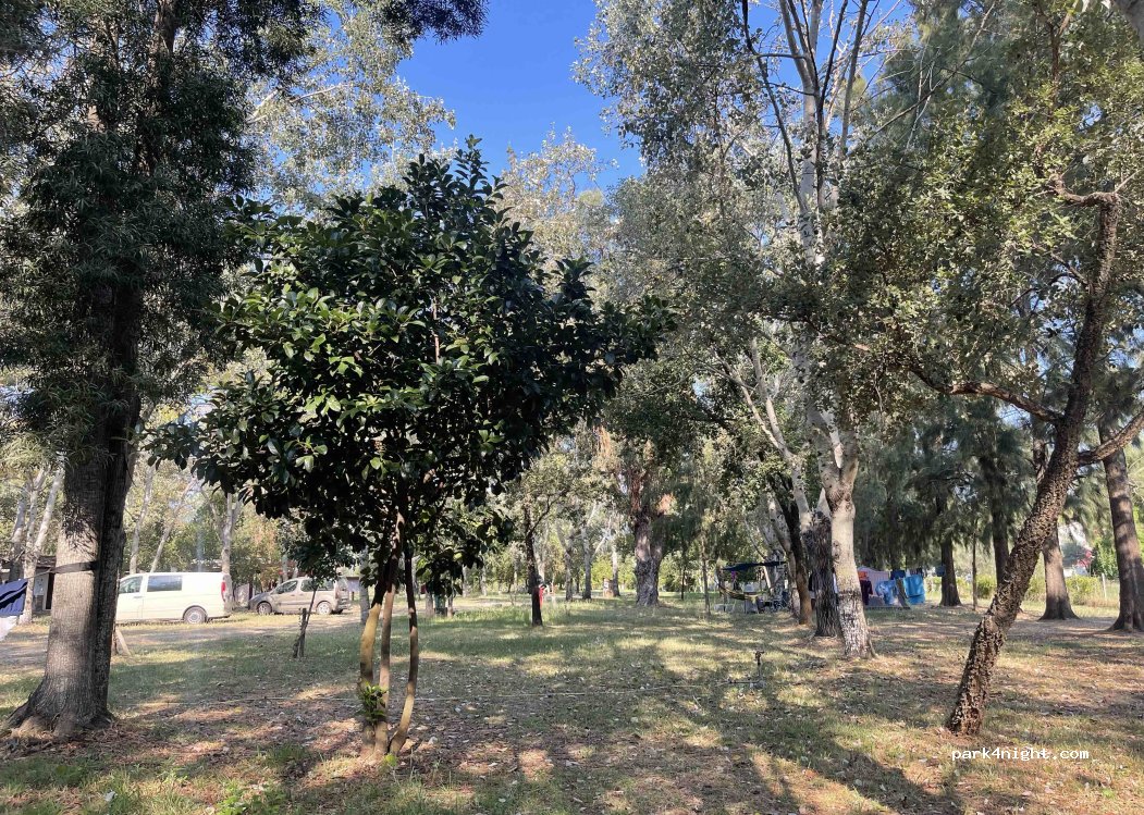 Campu Serenu camping — foto 2