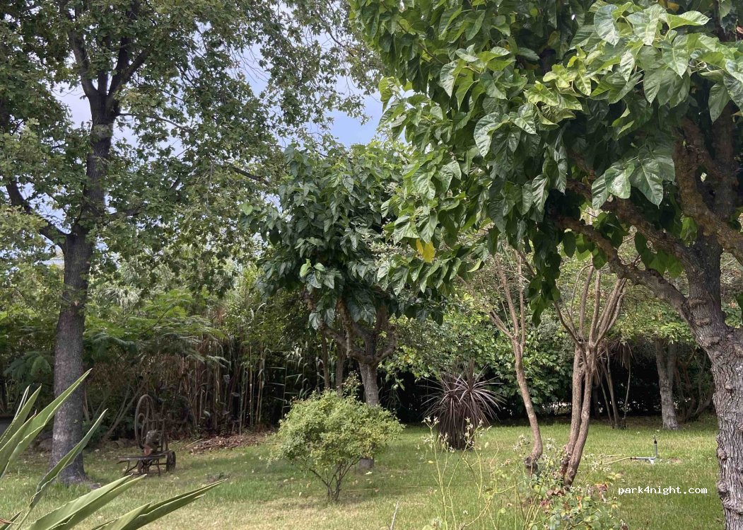 Campu Serenu camping — foto 4