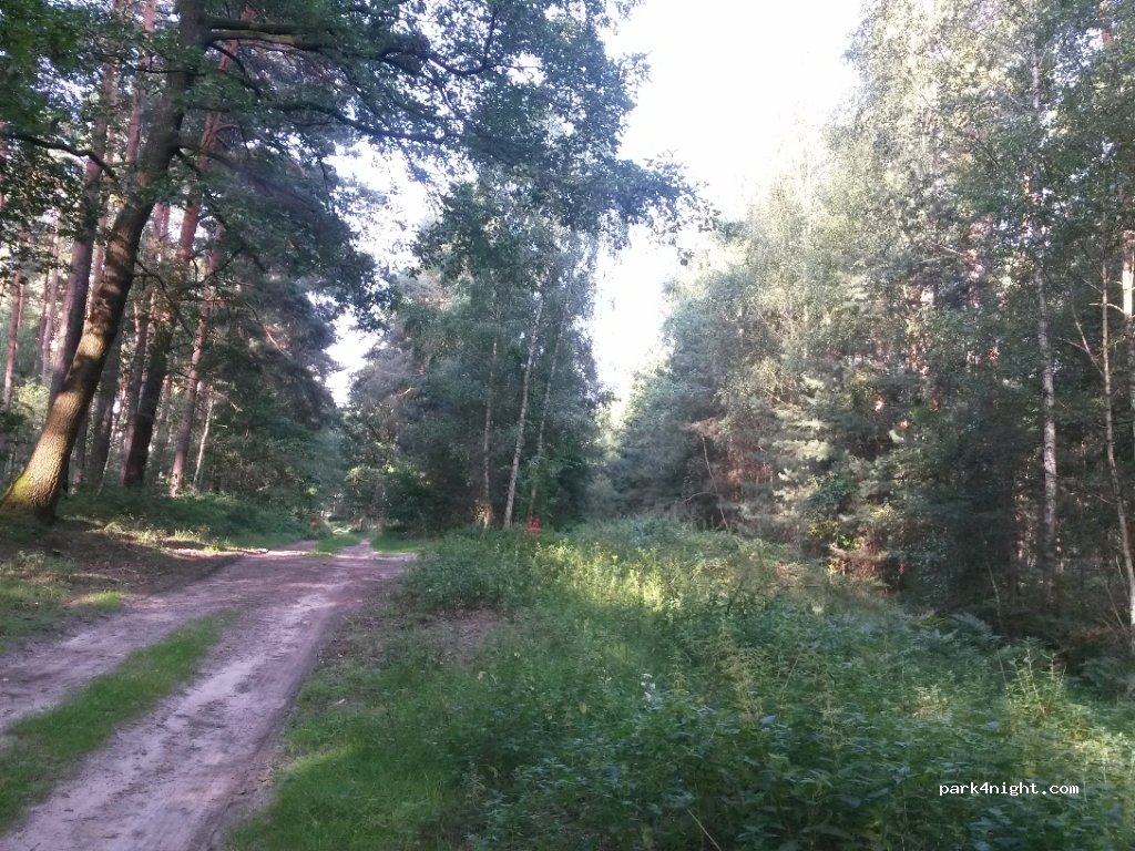 (14548) Schwielowsee - K6907 — foto