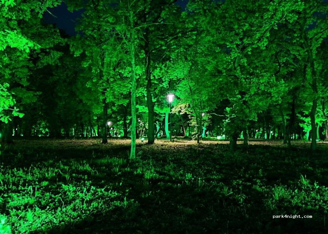 () Grozny - Unnamed road — foto