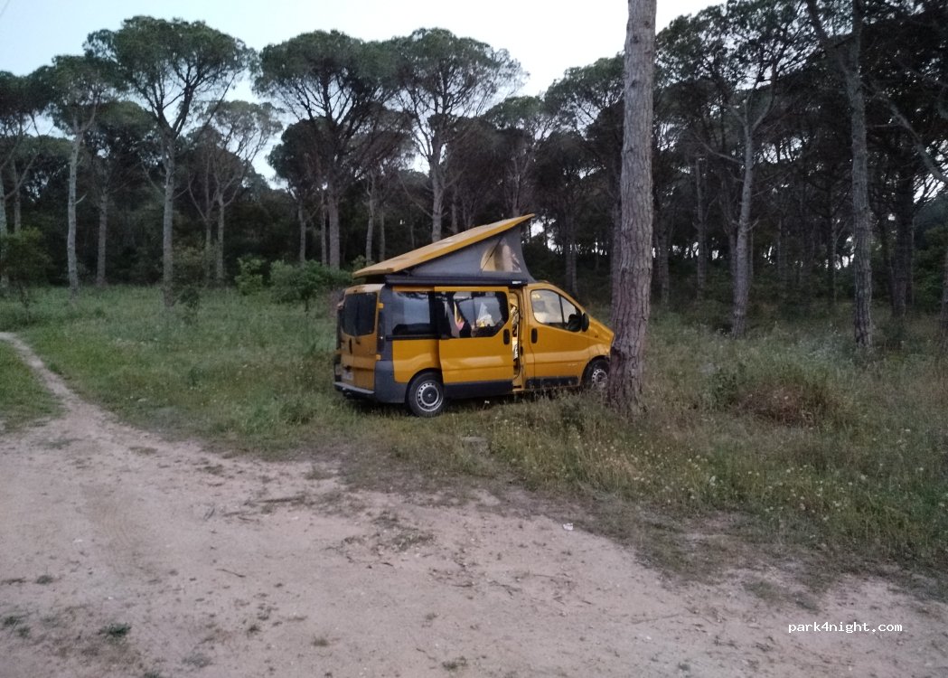 (17210) Palafrugell - 100 Camí Jardí Botànic — foto