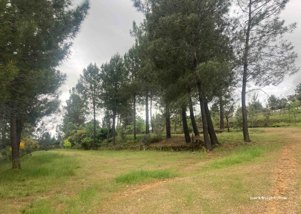 (10896) Perales del Puerto - — foto