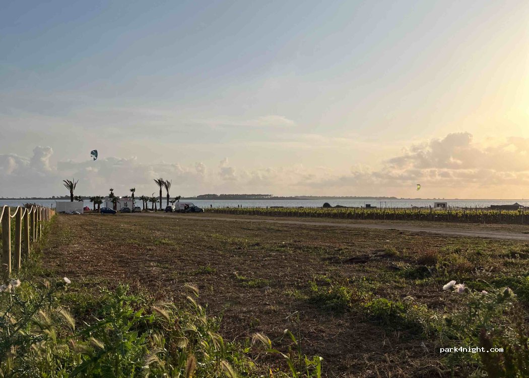 Flamingo Kite club — foto
