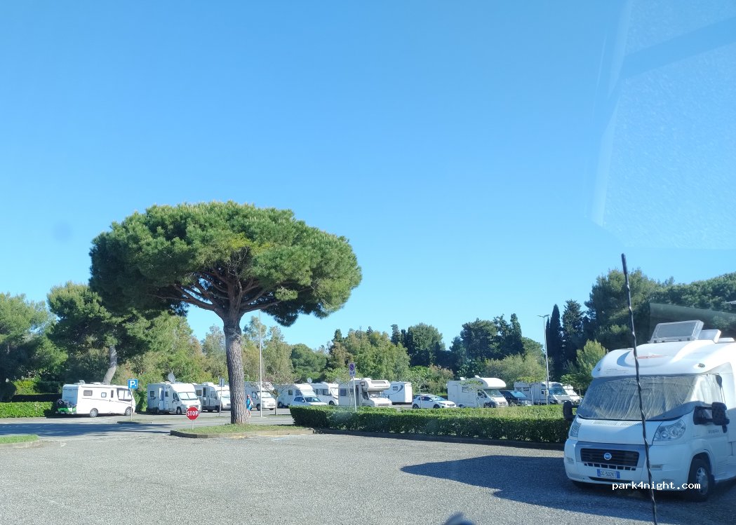 (57020) Marina di Bibbona - Via dei Pini — foto