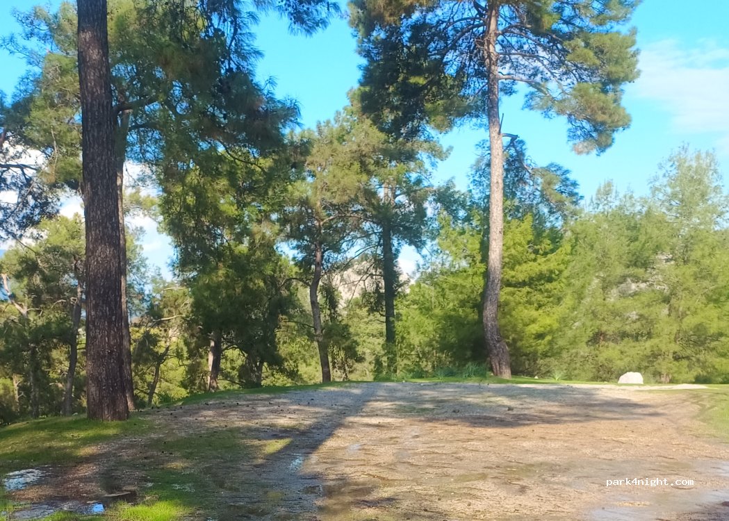 (48600) Ortaca - Unnamed road — foto