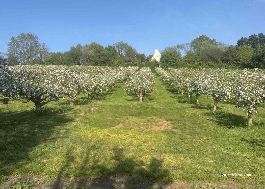The Hen's Dens at Orchard Organic Farm — foto 2