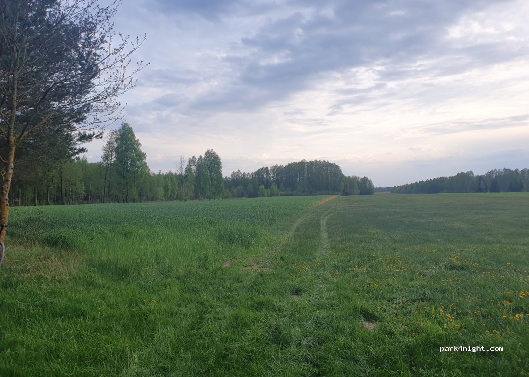 (19-206) Woźnawieś - — foto 2