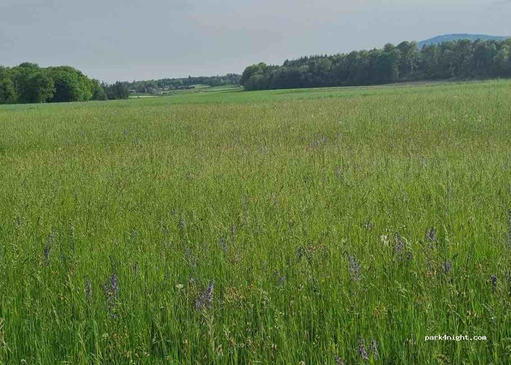 (1358) Valeyres-sous-Rances - — foto 2