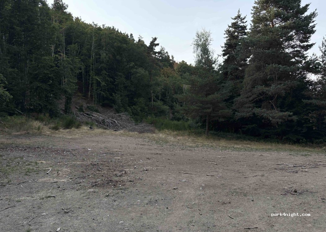 (48100) Saint-Léger-de-Peyre - — foto 2