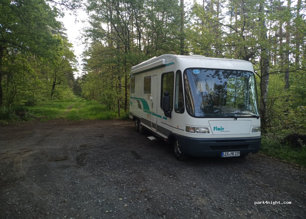 (29690) Lindwedel - — foto