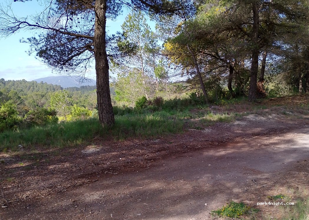(03819) El Estepar - — foto