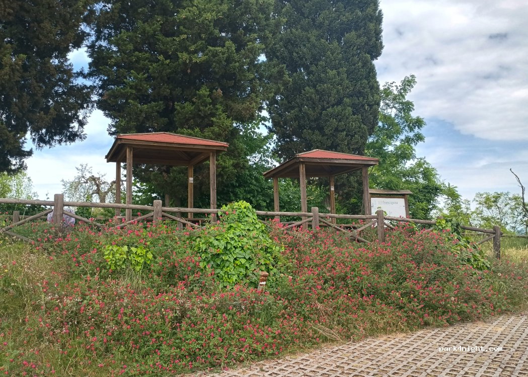 (56028) San Miniato - 38 Via Calenzano — foto