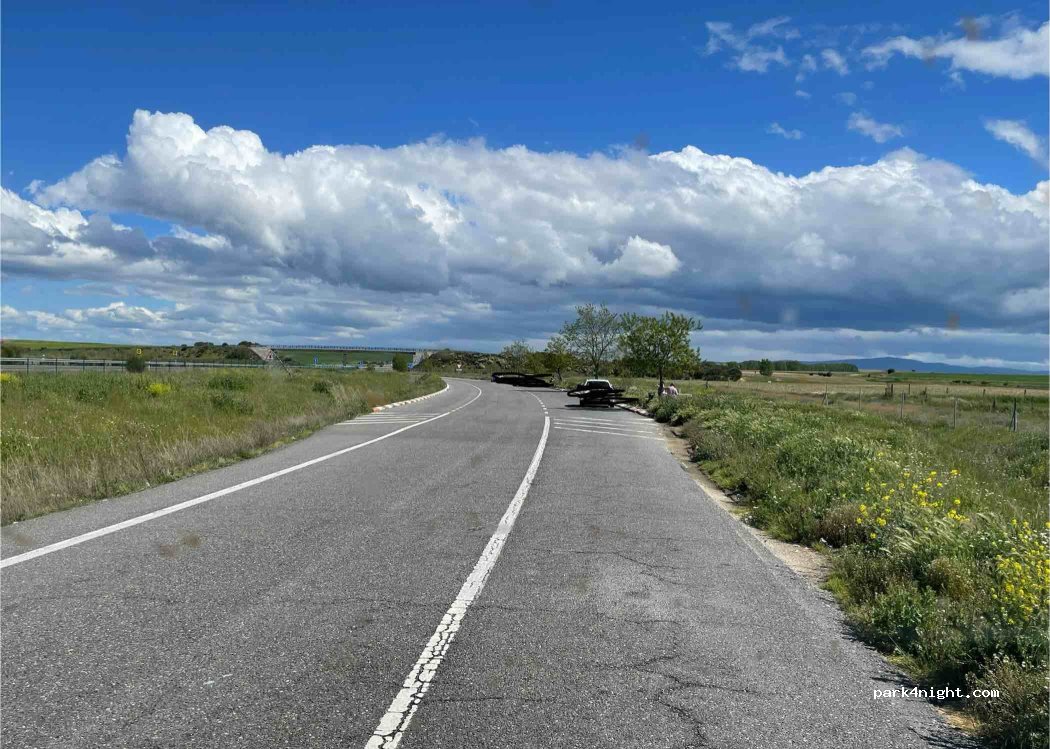 (37319) Cantaracillo - — foto