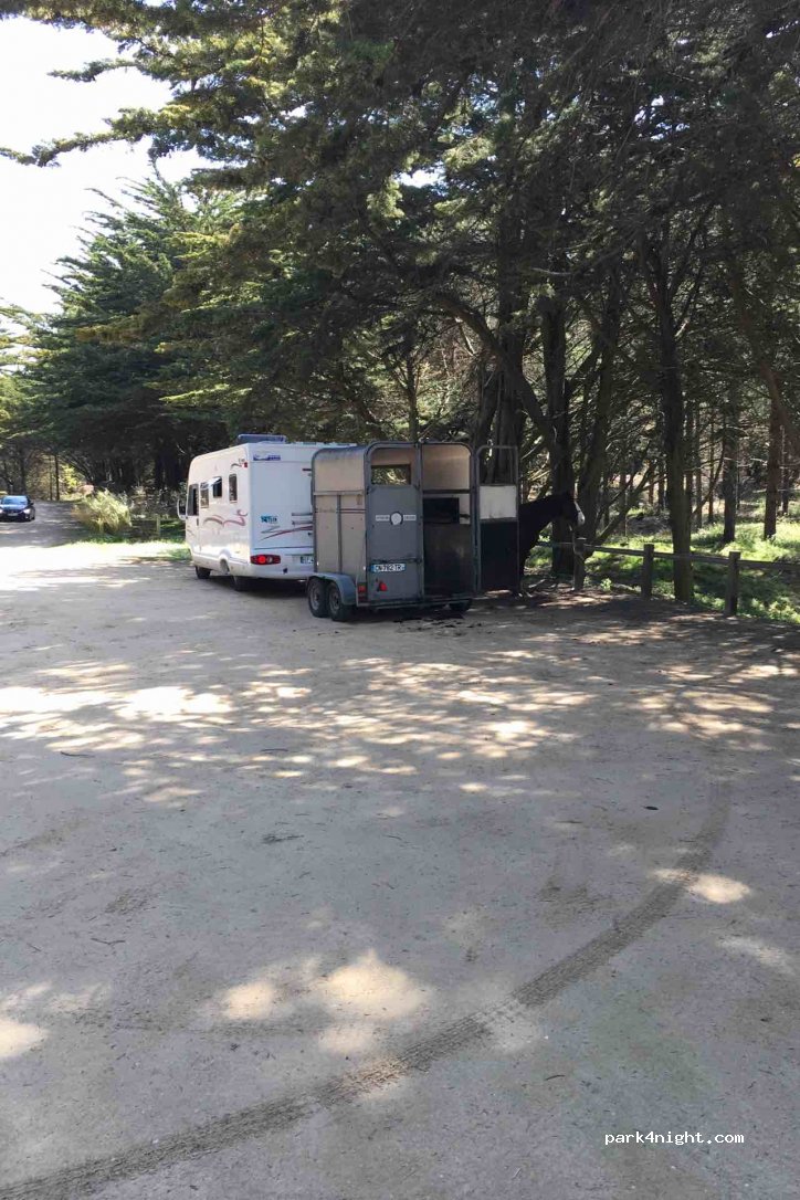 (85690) Notre-Dame-de-Monts - Unnamed Road — foto 3