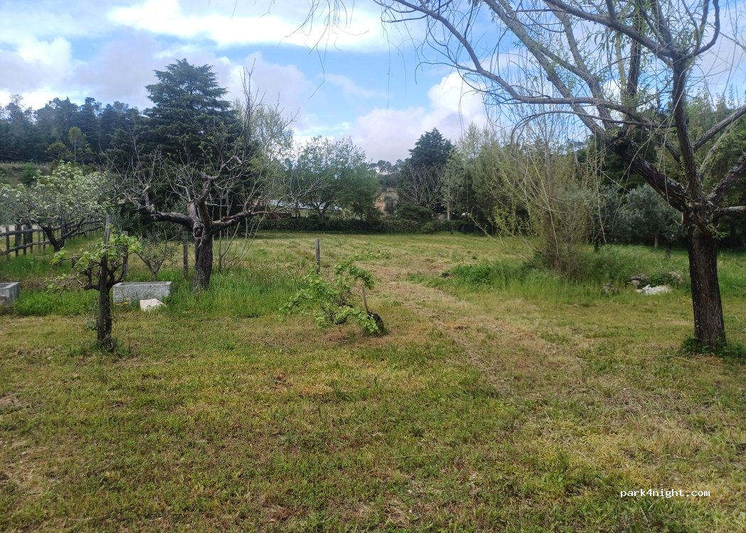 Quinta Chão de Lamas — foto