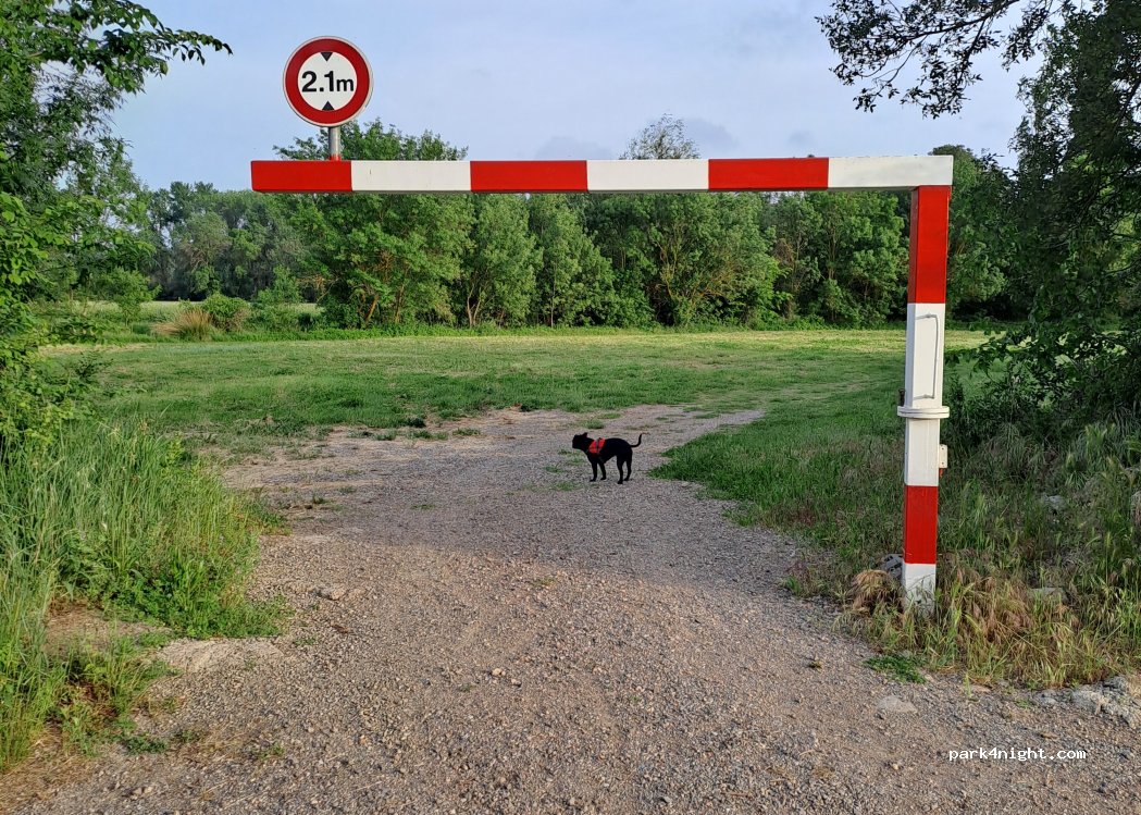 (34550) Bessan - Chemin de Saint-Bernard — foto 4