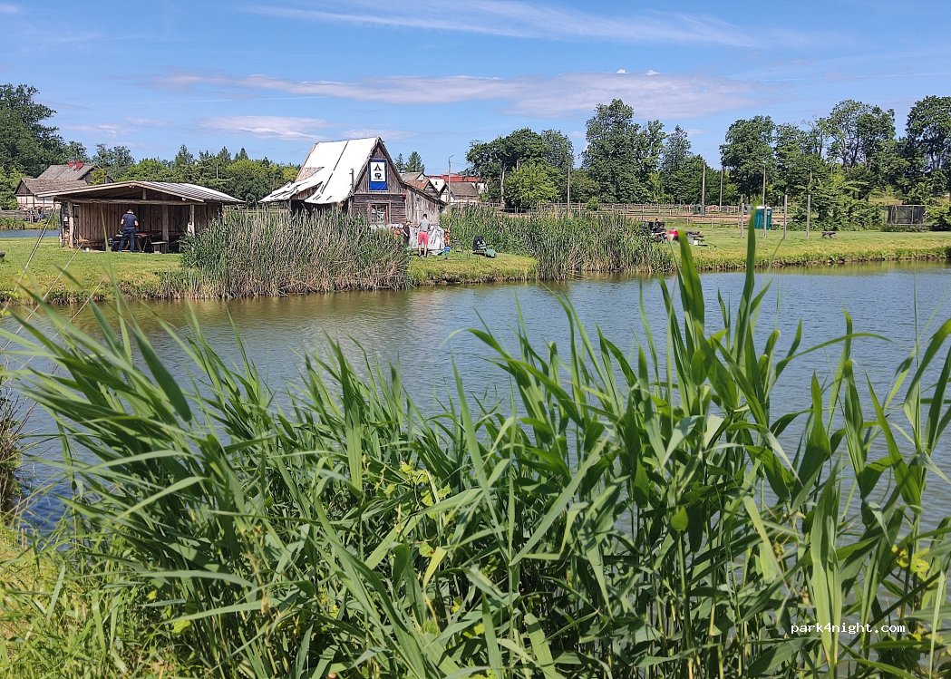 Kemping, pole namiotowe przy łowisku — foto