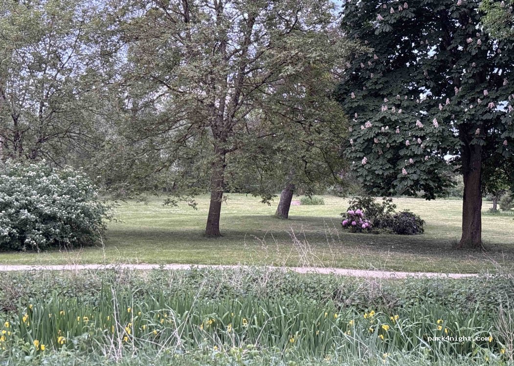 (45120) Cepoy - 11 Avenue du Château — foto