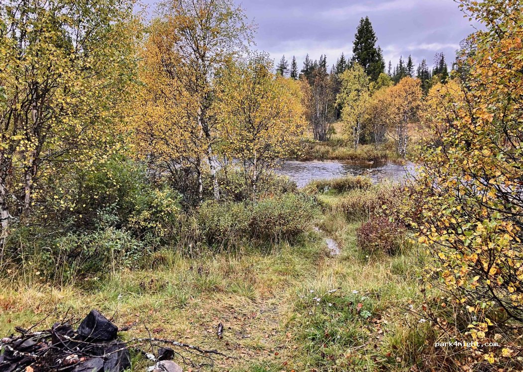 (3550) Gol - 26 Skoglivegen — foto 3