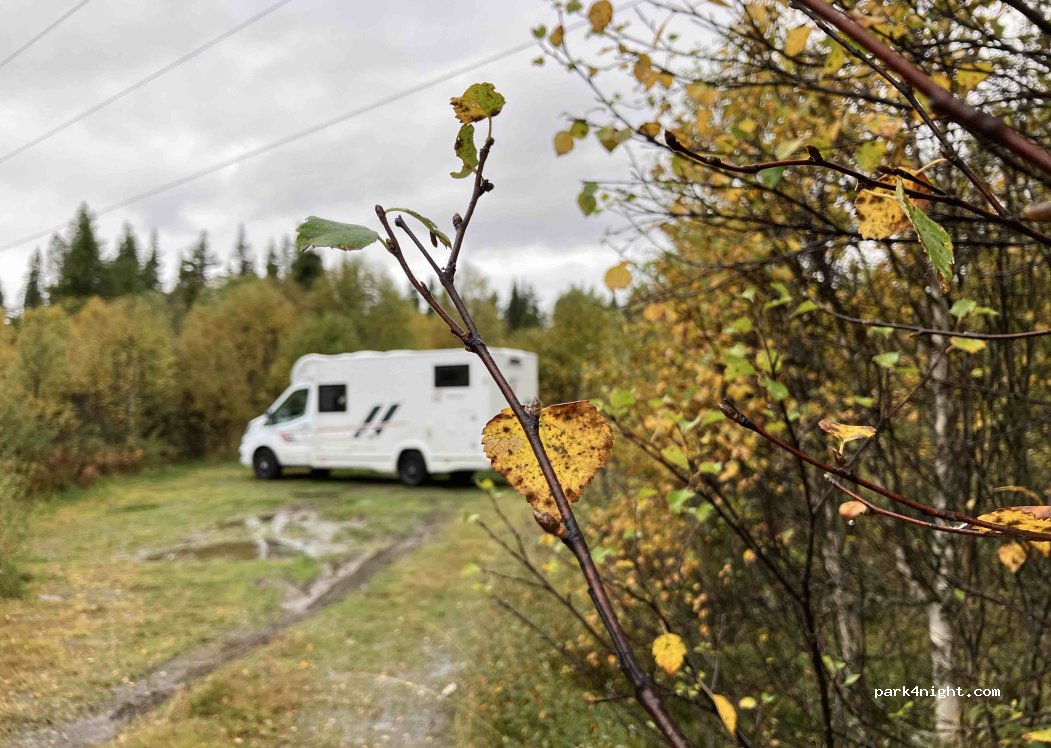 (3550) Gol - 26 Skoglivegen — foto 4