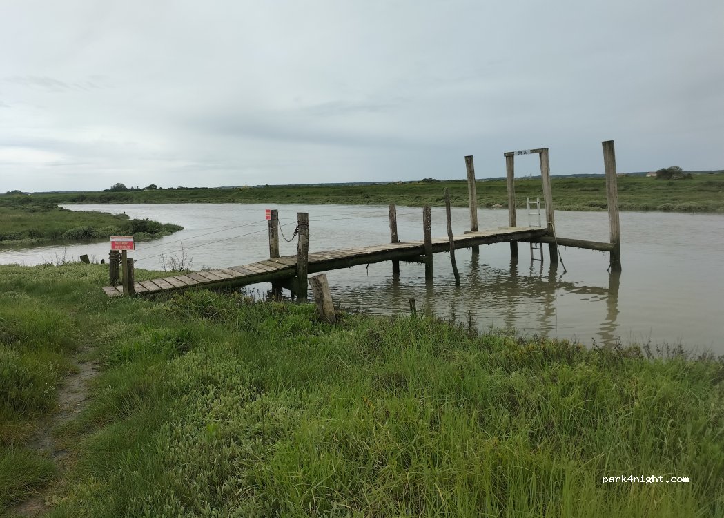 (17600) Nieulle-sur-Seudre - D118 — foto