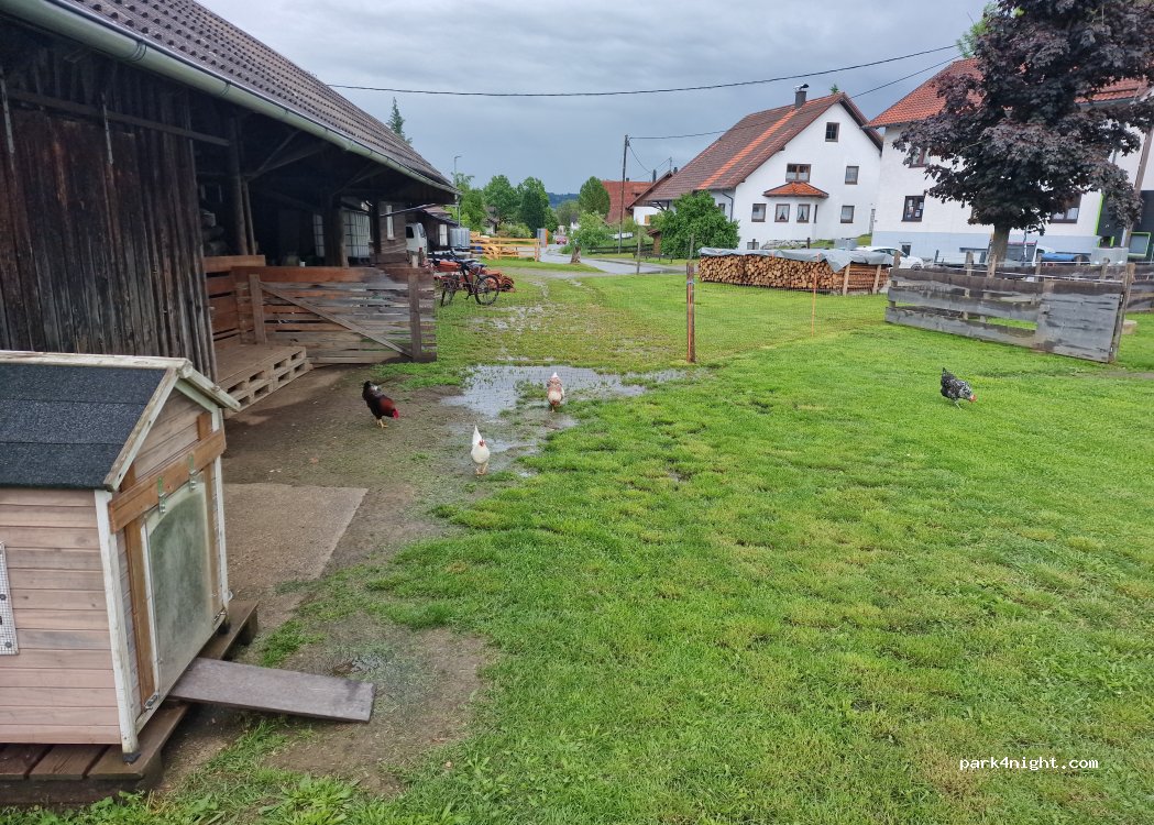 (87789) Woringen - 20 Brunnenstraße — foto