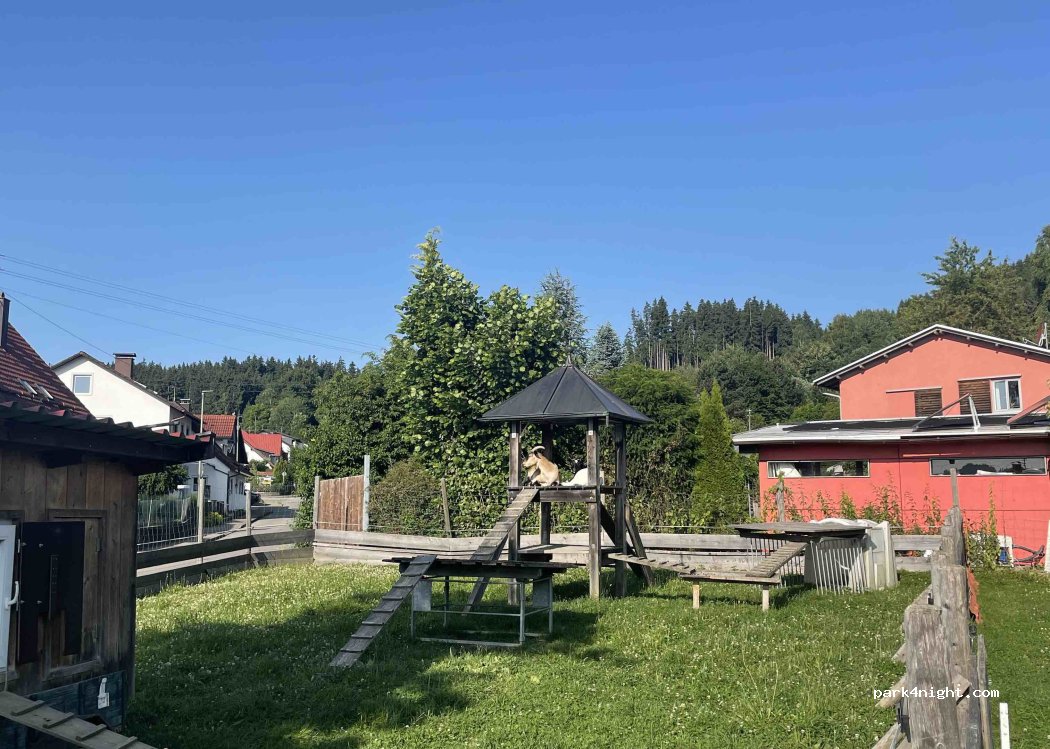 (87789) Woringen - 20 Brunnenstraße — foto 3