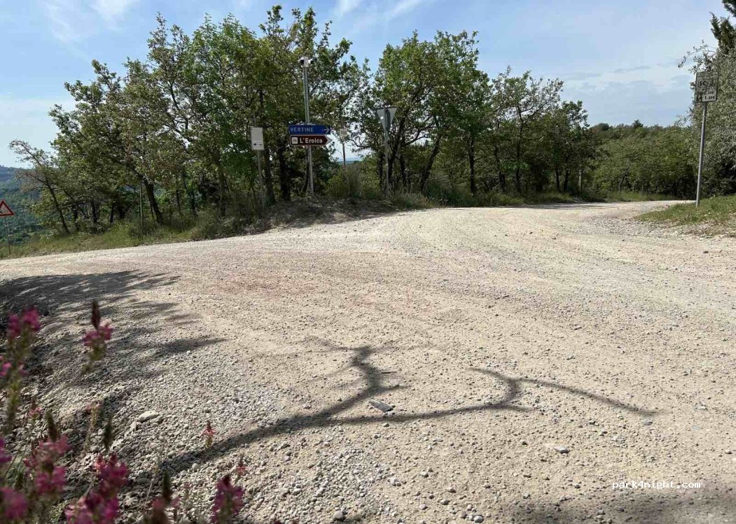 (53013) Gaiole in Chianti - Strada di San Donato in Perano — foto
