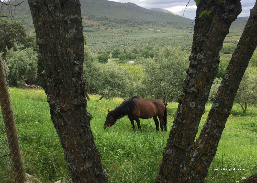 Centro Ecoturista El Castillejo — foto