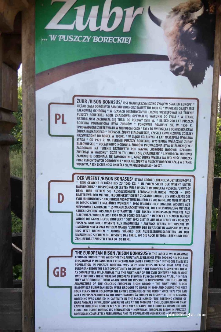 (11-612) Możdżany - 2 Wolisko — foto 2
