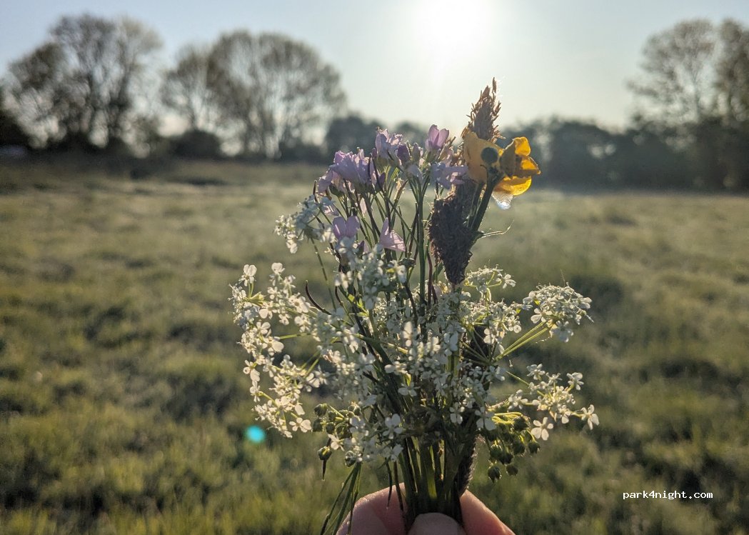 Camping au Bol d'Air — foto 5