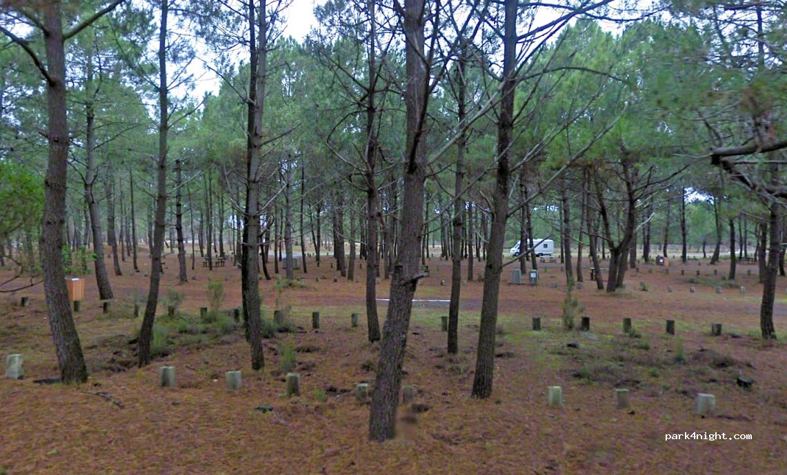 (33680) Lacanau - Unnamed Road — foto