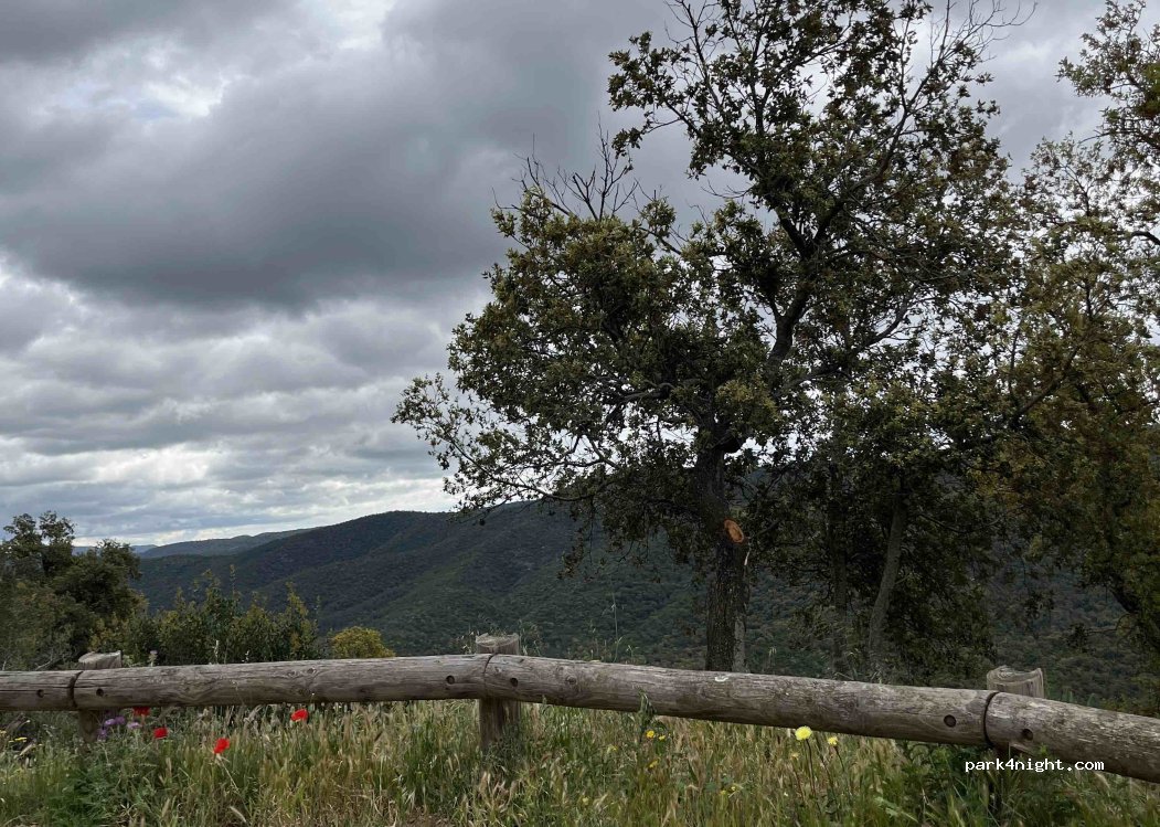 (83230) Bormes-les-Mimosas - — foto 2