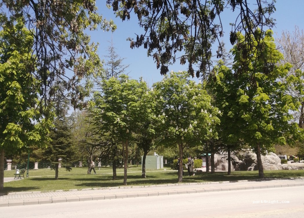(26090) Odunpazarı - 42 Ondokuz Mayıs Caddesi — foto