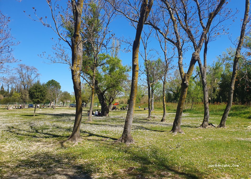 (84150) Violès - 284 Avenue du Stade — foto 2