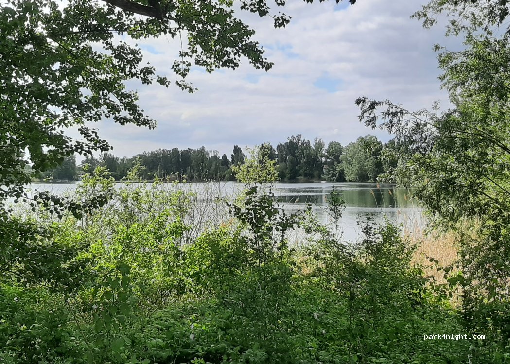 (67) Ludwigshafen - Unnamed road — foto 4