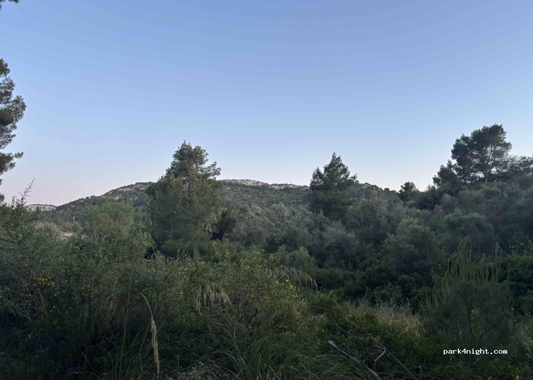 (07509) Son Macià - Carr. de Cales de Mallorca — foto
