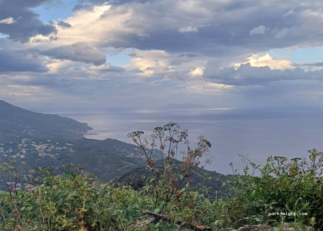 (20200) San-Martino-di-Lota - D31 — foto