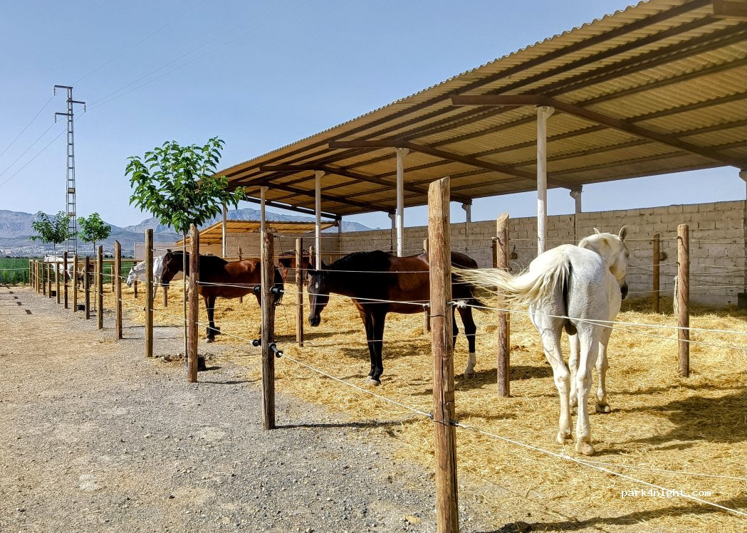 EQUIALIA - Club Equitación Antequera — foto 3