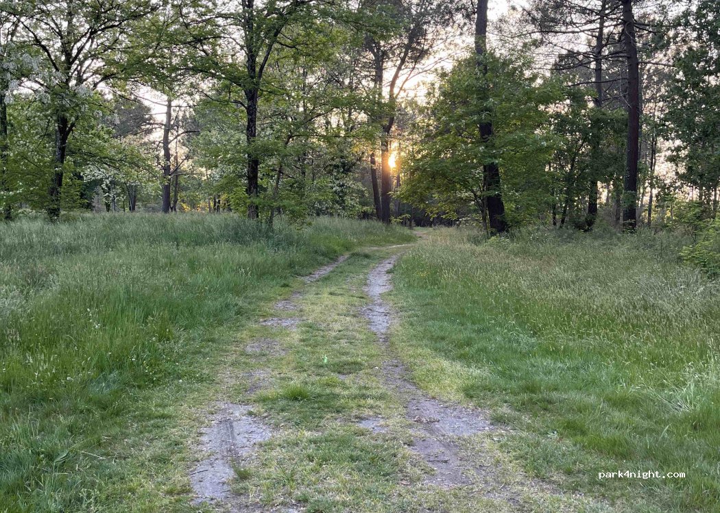 (33290) Le Pian-Médoc - 1708 Allée Saint-Seurin — foto 2