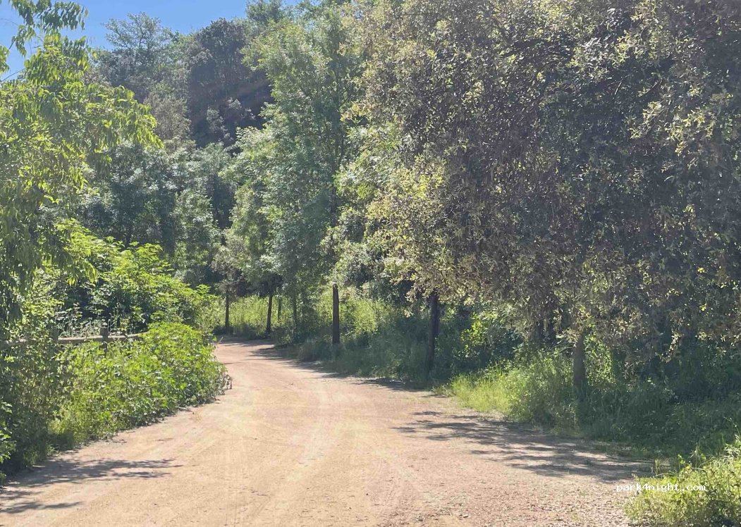 (17481) Sant Julià de Ramis - — foto