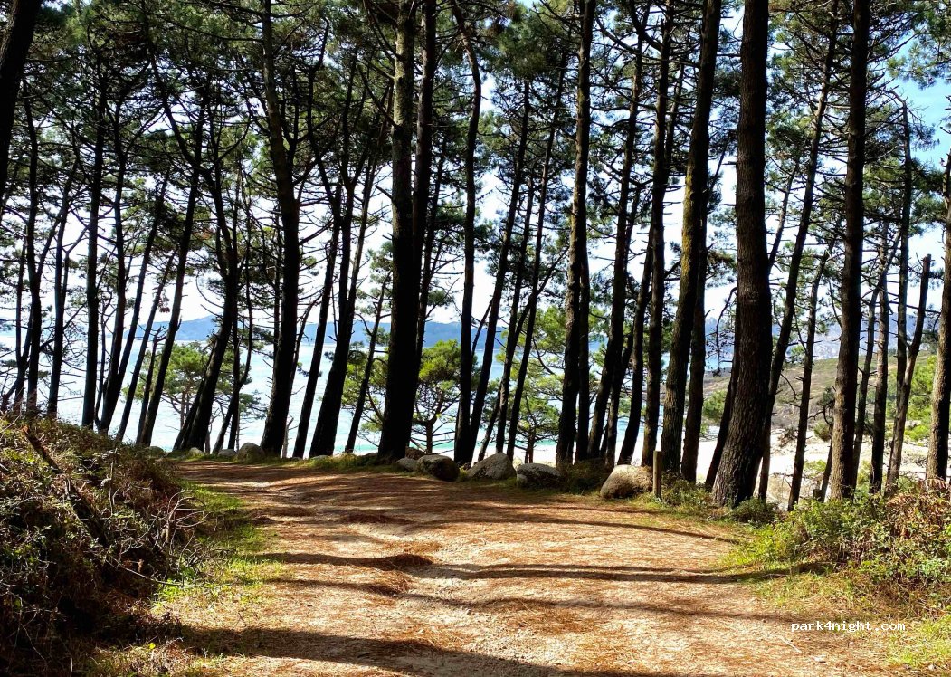 (36945) Cangas - Sendeiro de Cabo Home — foto 3