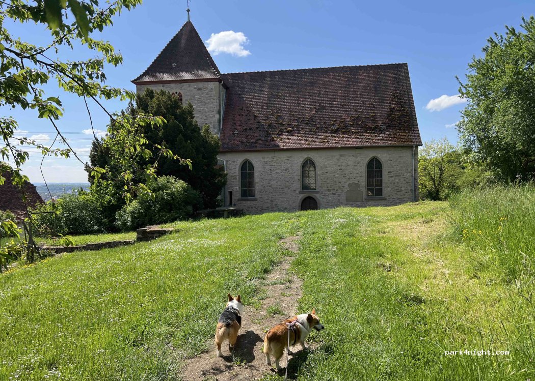 (74906) Bad Rappenau - 4 Kirchberg — foto 3