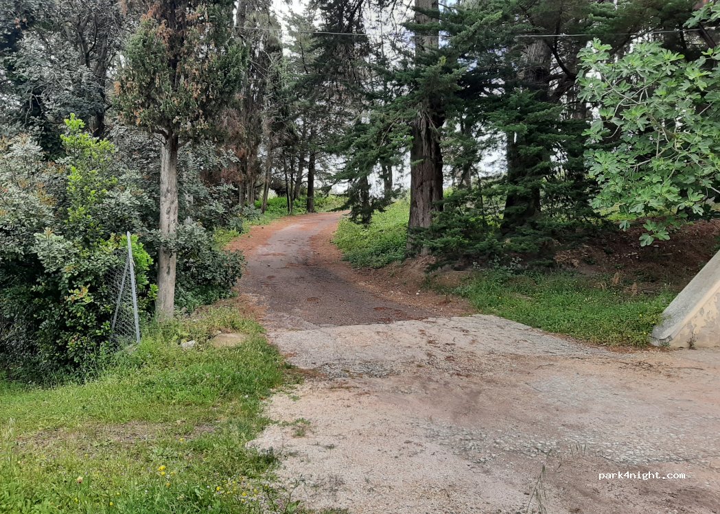 (07030) Florinas - SP3 — foto 2